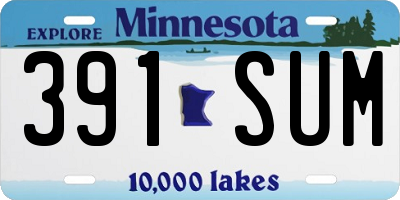 MN license plate 391SUM