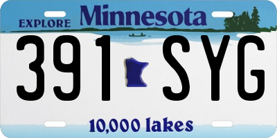 MN license plate 391SYG