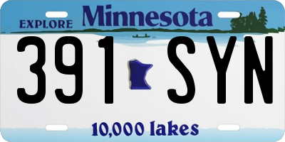MN license plate 391SYN