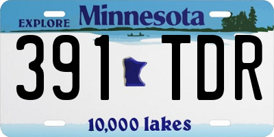 MN license plate 391TDR