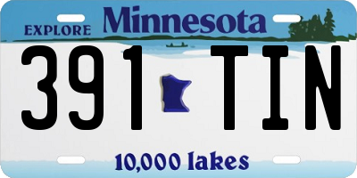 MN license plate 391TIN