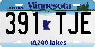 MN license plate 391TJE