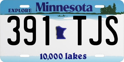 MN license plate 391TJS