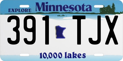 MN license plate 391TJX