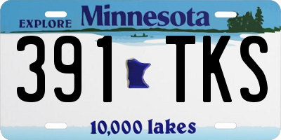 MN license plate 391TKS