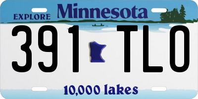 MN license plate 391TLO