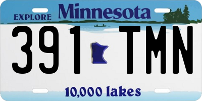 MN license plate 391TMN
