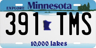 MN license plate 391TMS
