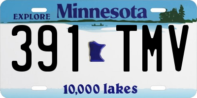 MN license plate 391TMV