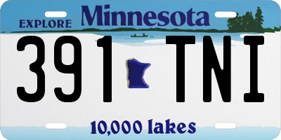 MN license plate 391TNI