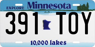 MN license plate 391TOY