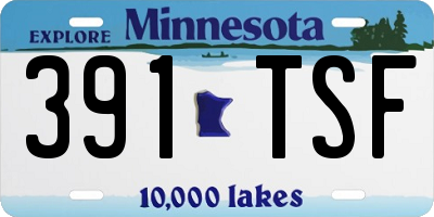 MN license plate 391TSF