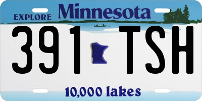 MN license plate 391TSH