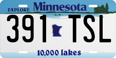 MN license plate 391TSL