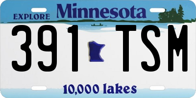 MN license plate 391TSM