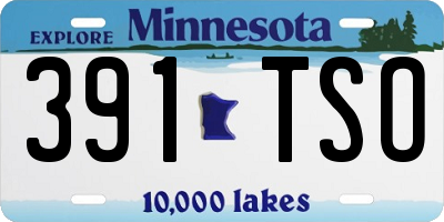 MN license plate 391TSO