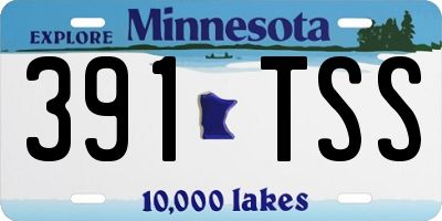 MN license plate 391TSS