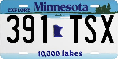 MN license plate 391TSX