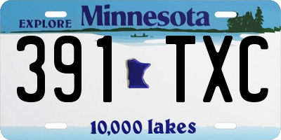 MN license plate 391TXC
