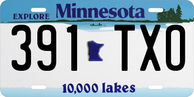 MN license plate 391TXO