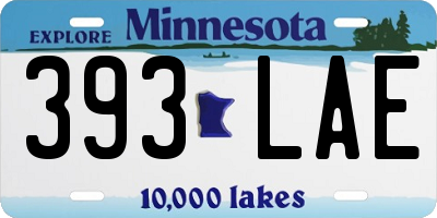 MN license plate 393LAE