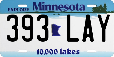 MN license plate 393LAY