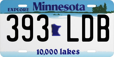 MN license plate 393LDB