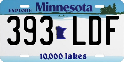 MN license plate 393LDF