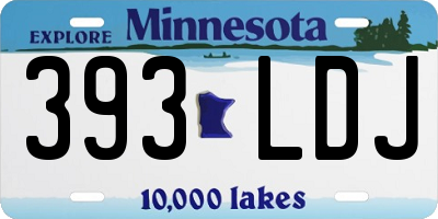 MN license plate 393LDJ