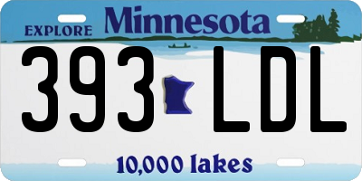 MN license plate 393LDL