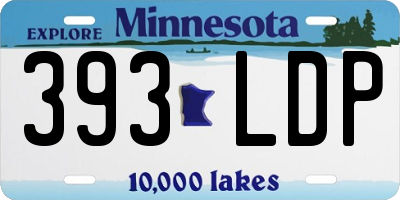 MN license plate 393LDP