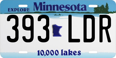 MN license plate 393LDR