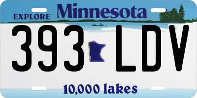 MN license plate 393LDV