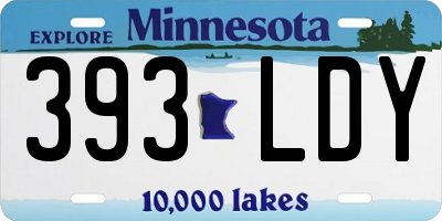 MN license plate 393LDY