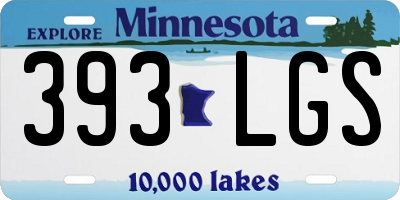MN license plate 393LGS