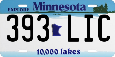 MN license plate 393LIC