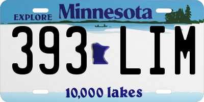 MN license plate 393LIM