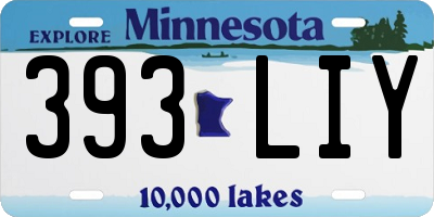 MN license plate 393LIY