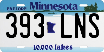 MN license plate 393LNS