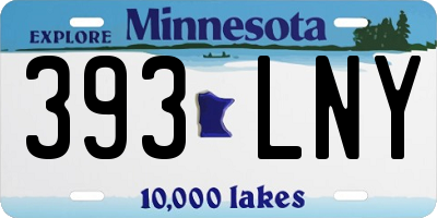 MN license plate 393LNY