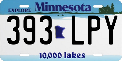 MN license plate 393LPY