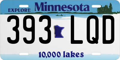 MN license plate 393LQD