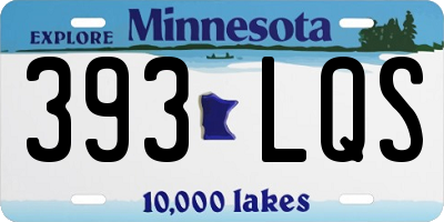 MN license plate 393LQS