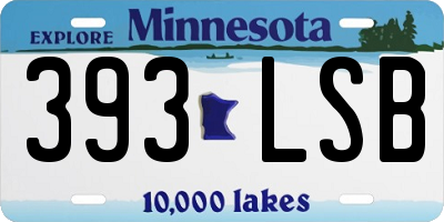 MN license plate 393LSB