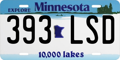MN license plate 393LSD