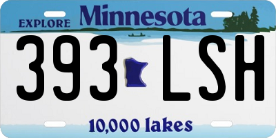 MN license plate 393LSH