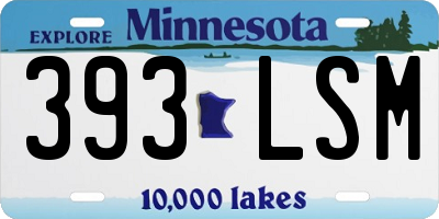 MN license plate 393LSM