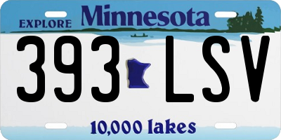 MN license plate 393LSV