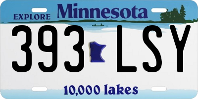 MN license plate 393LSY
