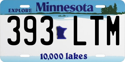 MN license plate 393LTM